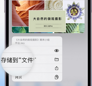 安阳apple维修中心分享iPhone文件应用中存储和找到下载文件