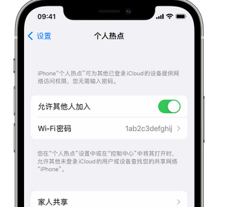 安阳apple服务站点分享iPhone上个人热点丢失了怎么办 