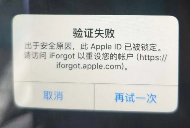 安阳iPhone维修分享iPhone上正常登录或使用AppleID怎么办 