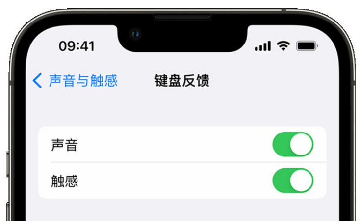 安阳苹果手机维修分享iPhone 14触感键盘使用方法 