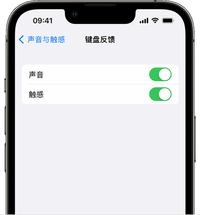 安阳苹果14维修店分享如何在 iPhone 14 机型中使用触感键盘 