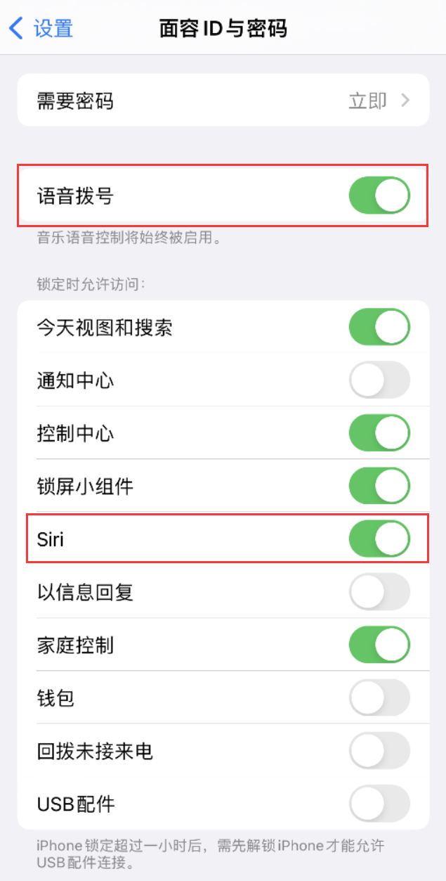 安阳苹果维修网点分享不解锁 iPhone 的情况下通过 Siri 拨打电话的方法 