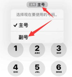 安阳苹果14维修店分享iPhone 14 Pro Max使用副卡打电话的方法 