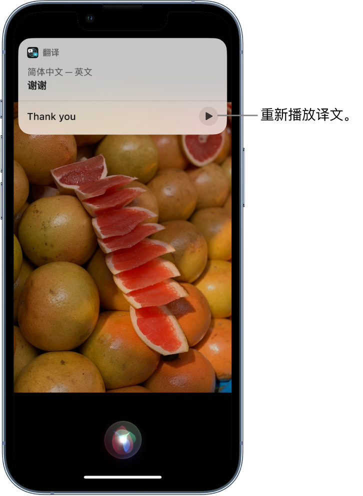 安阳苹果14维修分享 iPhone 14 机型中使用 Siri：了解 Siri 能帮你做什么 