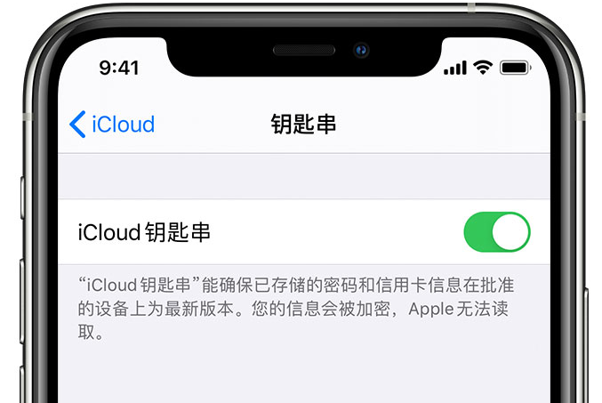 安阳苹果手机维修分享在 iPhone 上开启 iCloud 钥匙串之后会储存哪些信息 