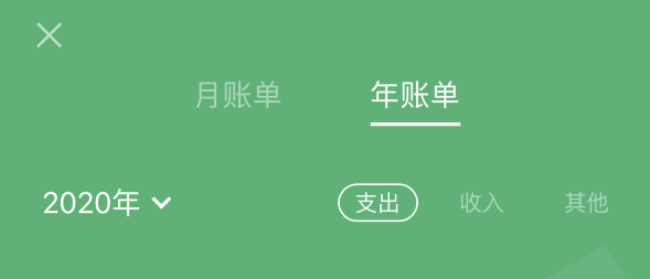 安阳苹果手机维修分享如何在 iPhone 上查看支付宝和微信年支出账单 