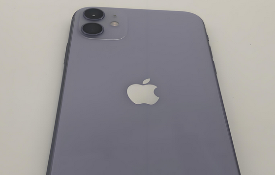 安阳苹果11系统维修分享iPhone11手机系统崩溃无法开机如何解决 